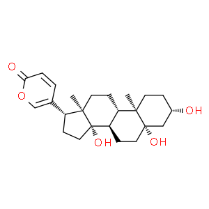 遠華蟾蜍精