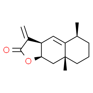 土木香內酯