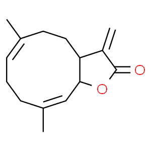 木香烴內酯