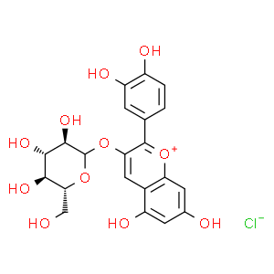 矢車(chē)菊素-3-O-葡萄糖苷;花青素