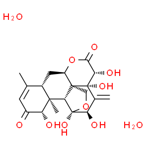寬纓酮